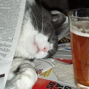 Meet your Posher, Marvin